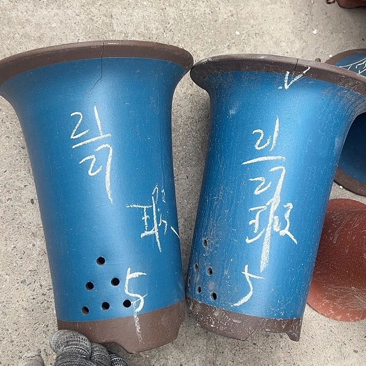 学生周三周四自始至终