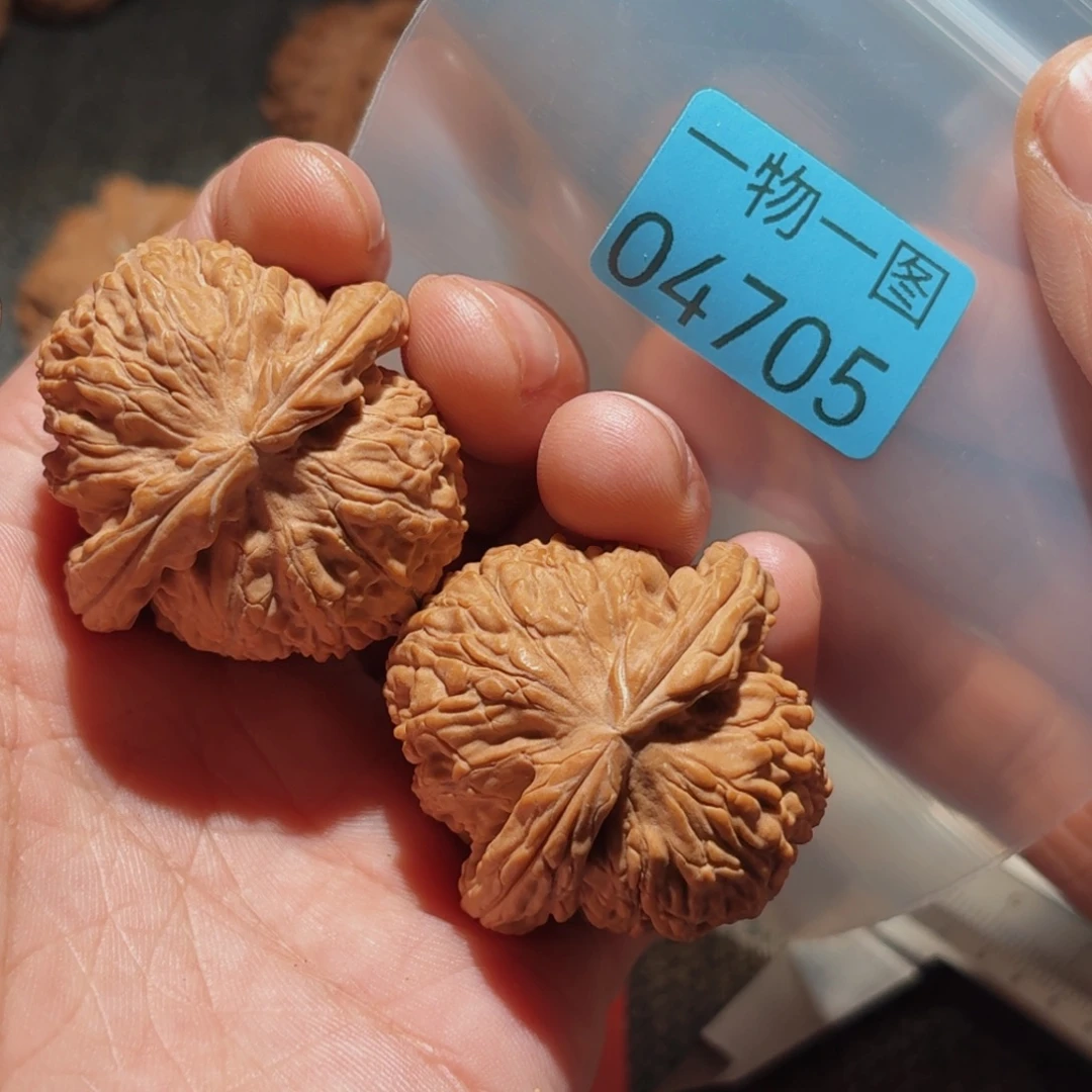 把件文玩核桃白狮子