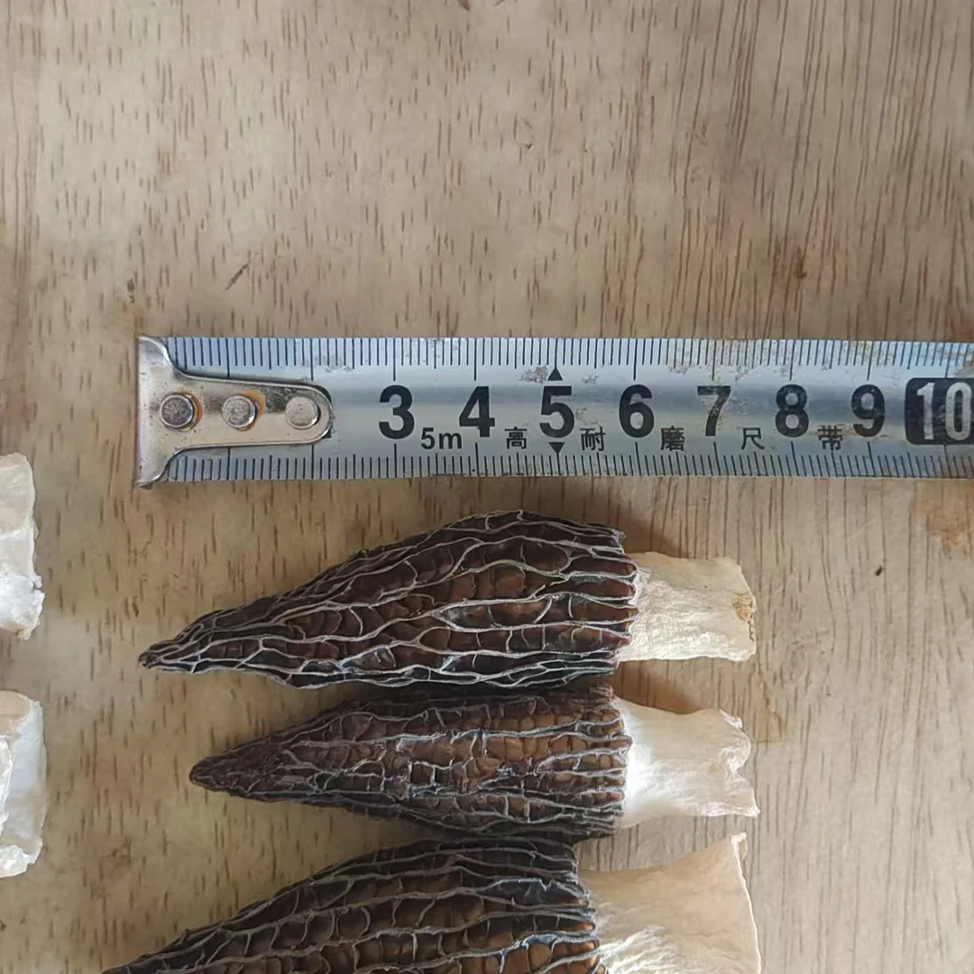 【邮政专享】羊肚菌干货4-7厘米均匀香味足滋补炖汤营养食用菌菇