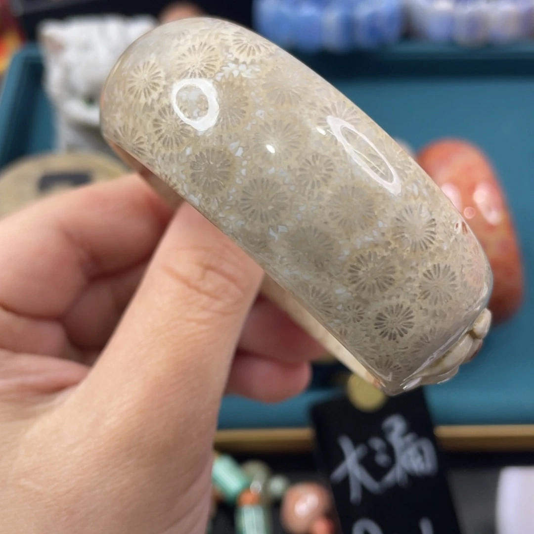 未镶嵌手镯硅化玉