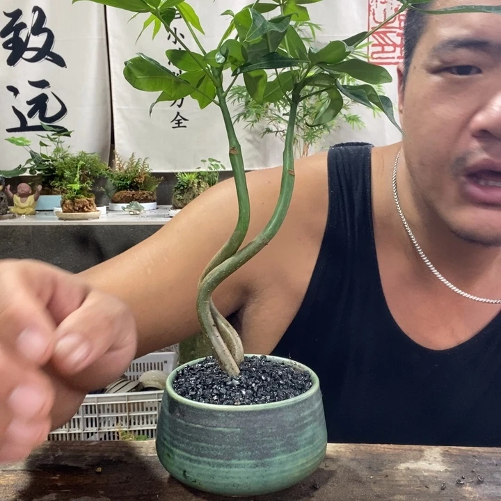 无花朵退款拉黑拉黑42