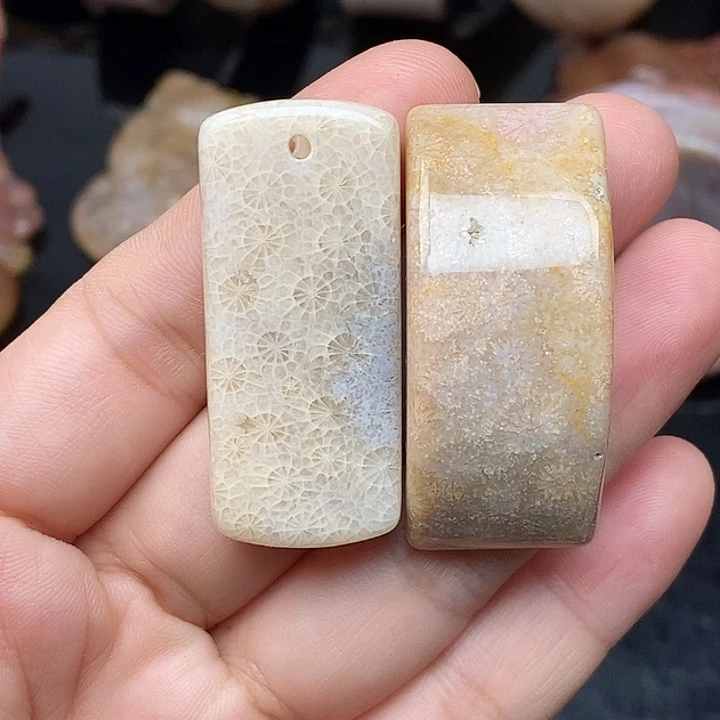 硅化玉未镶嵌颈饰