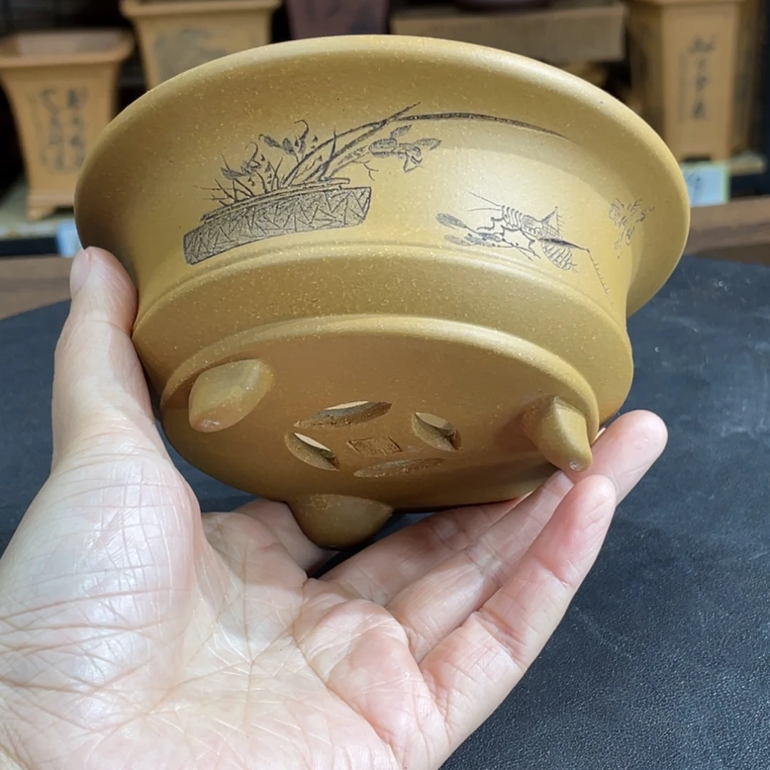 花盆紫砂我们也可以