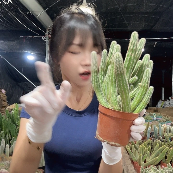 普拉（掉头掉崽不售后）