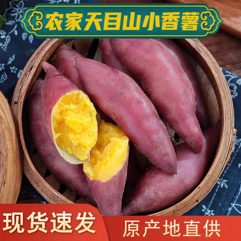 新鲜天目小香薯5斤软糯番薯地瓜红薯黄心皮薄红薯小香薯非临安3斤