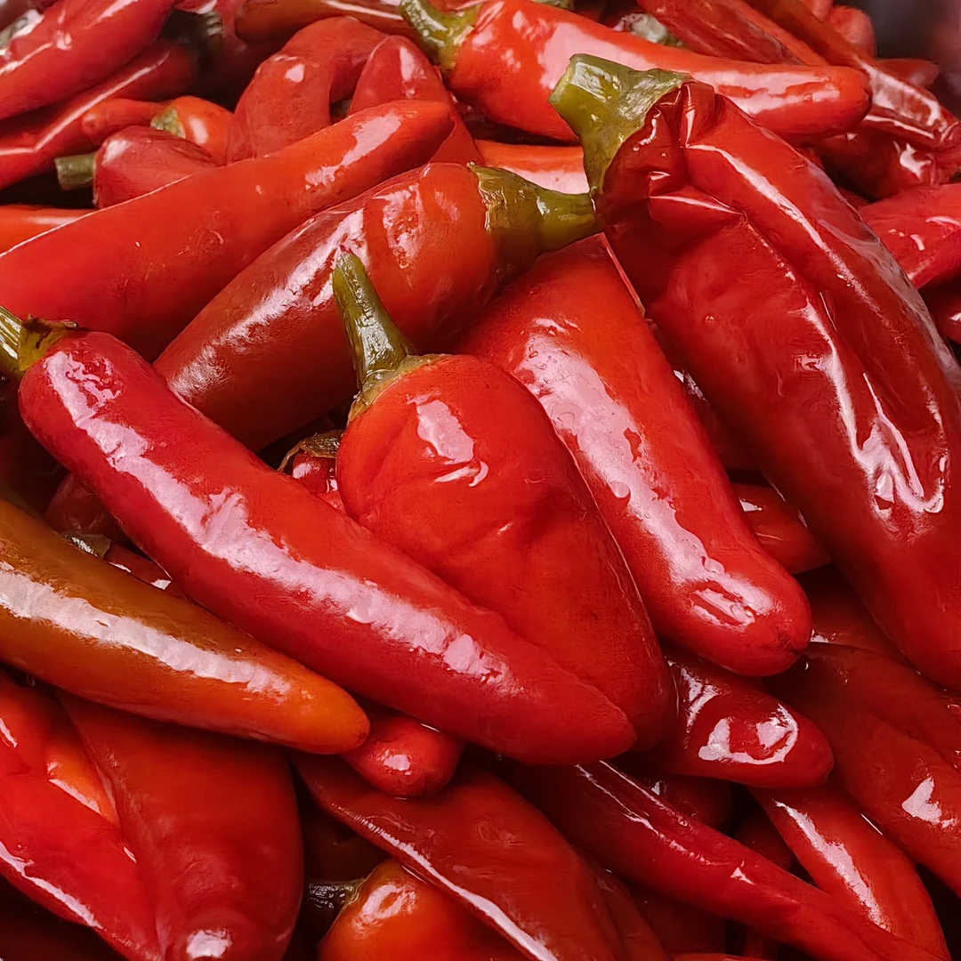 （顺丰包邮）全州坛子酸辣椒红辣椒酸辣椒