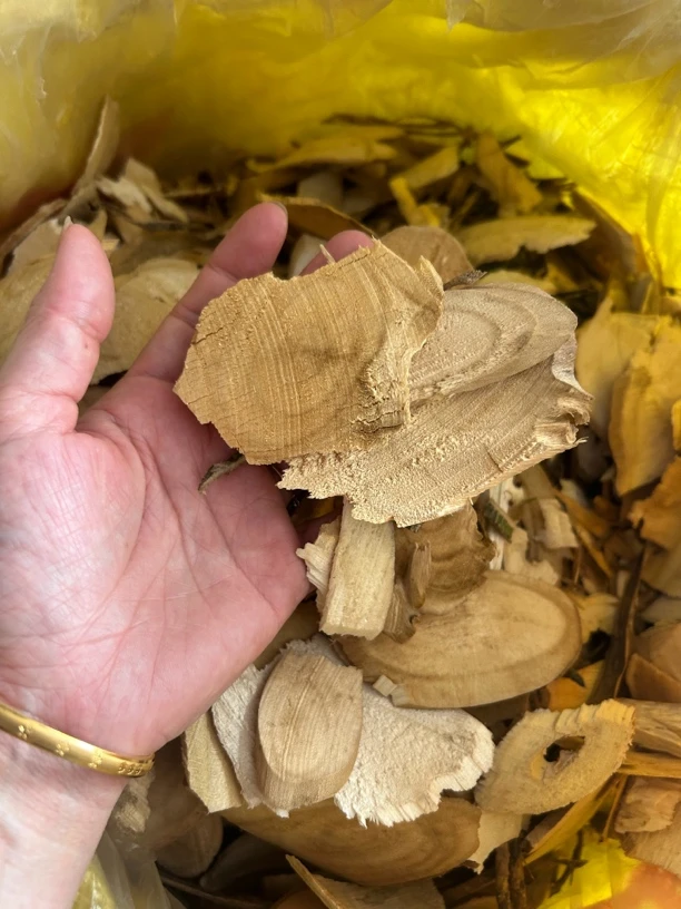 福建深山红骨刺葱晒干