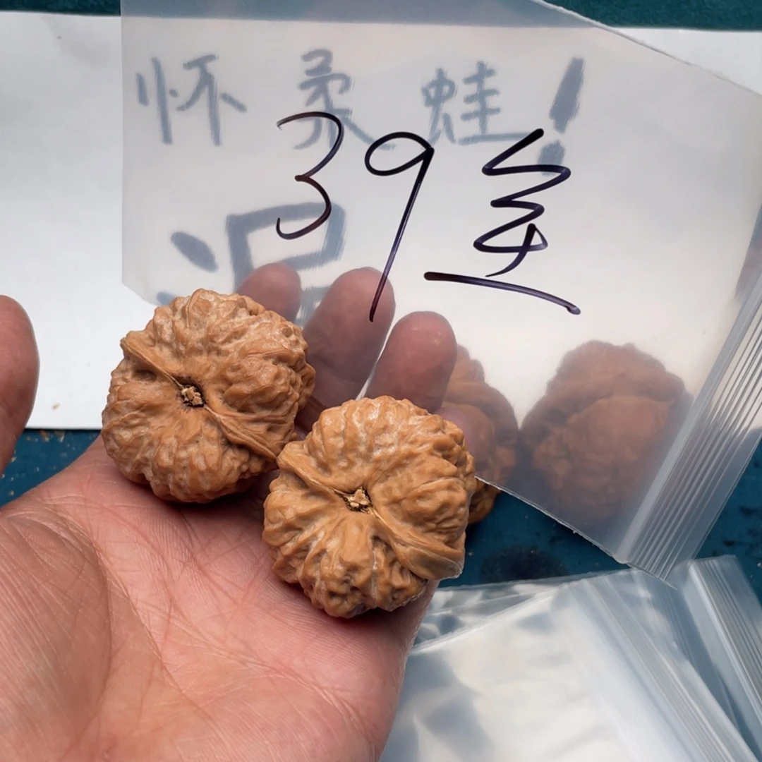 核桃5737535737537537537