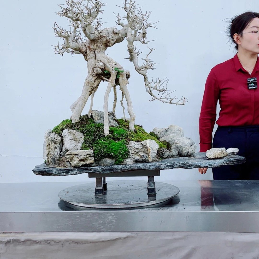 无铅玻璃岭南文化艺术中心的