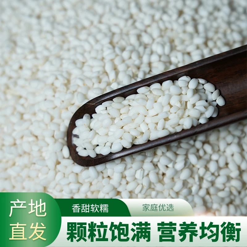 【甄选白糯米】25年新米香甜软糯圆糯米新米白江米糍粑酿酒汤圆