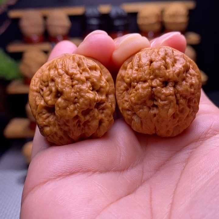 木质类云铁血舍利6号