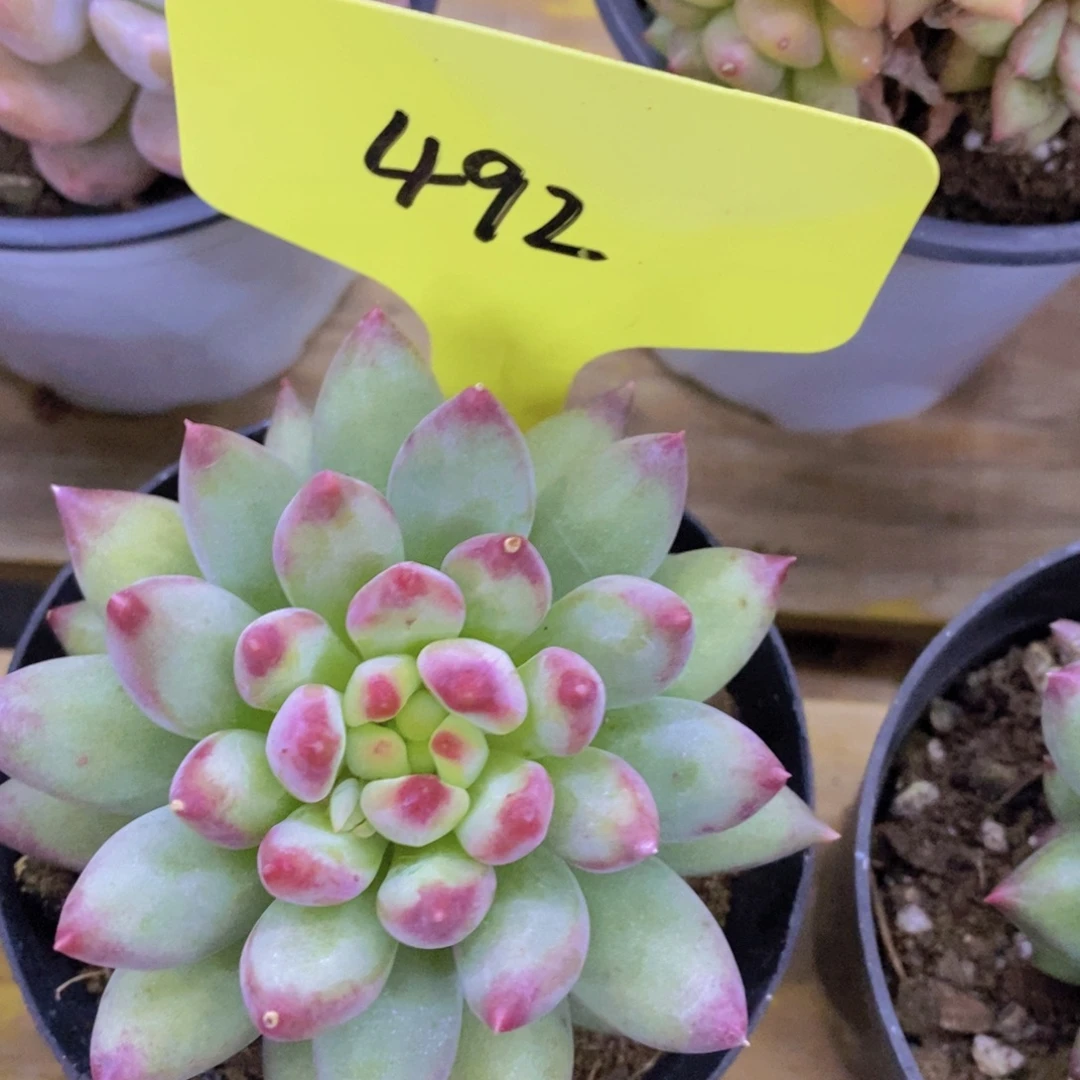 清货场，仅限今天，不对