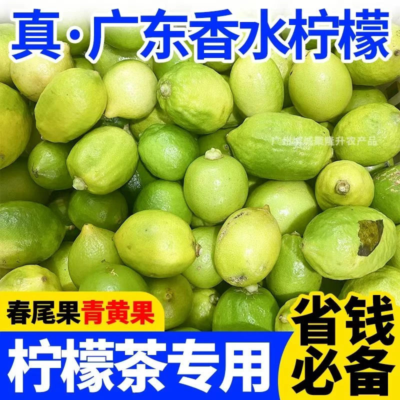 广东青黄香水柠檬产地水果直发