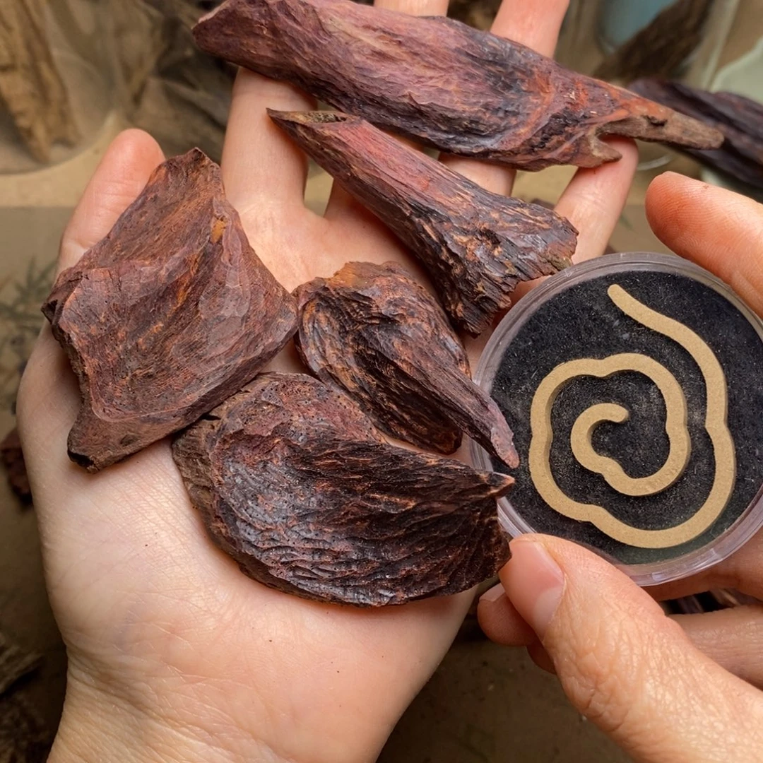 叽***噜海南31克。