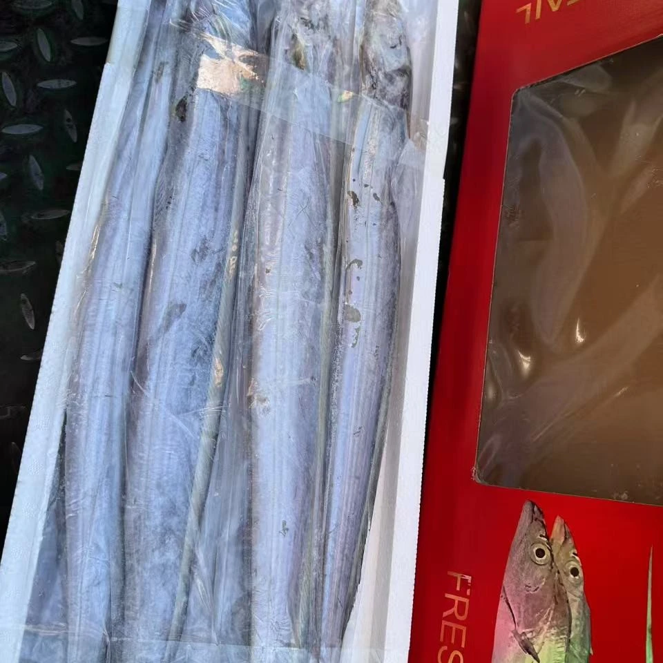 无冰精品野生带鱼，7-8条4斤