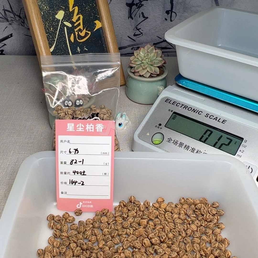 M***O吊坠柏香籽/百香籽