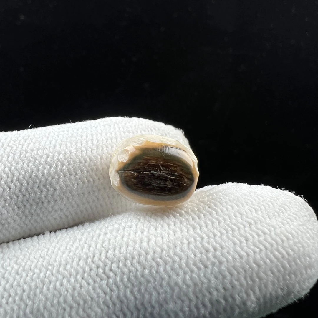 X7719天然猛犸牙 配饰 10*12.4mm支持鉴定 假一罚四