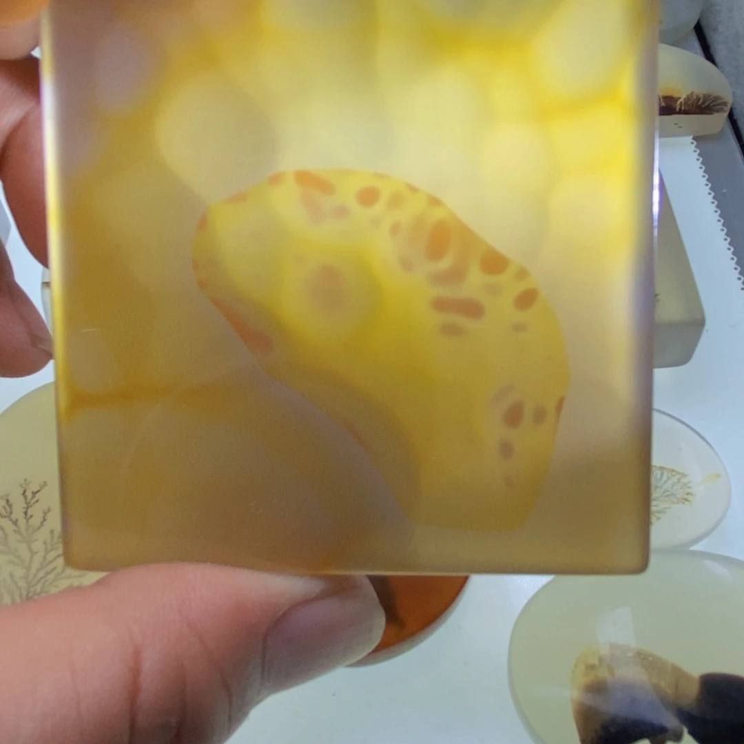 【闪购商品】未镶嵌颈饰玛瑙/玉髓霁****来