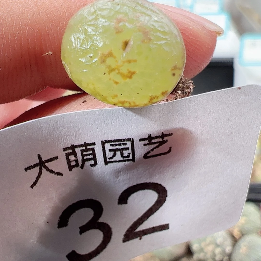 000032 一物一拍……