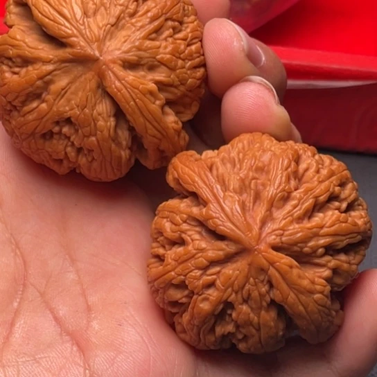 文玩核桃把件秦岭山脉核桃