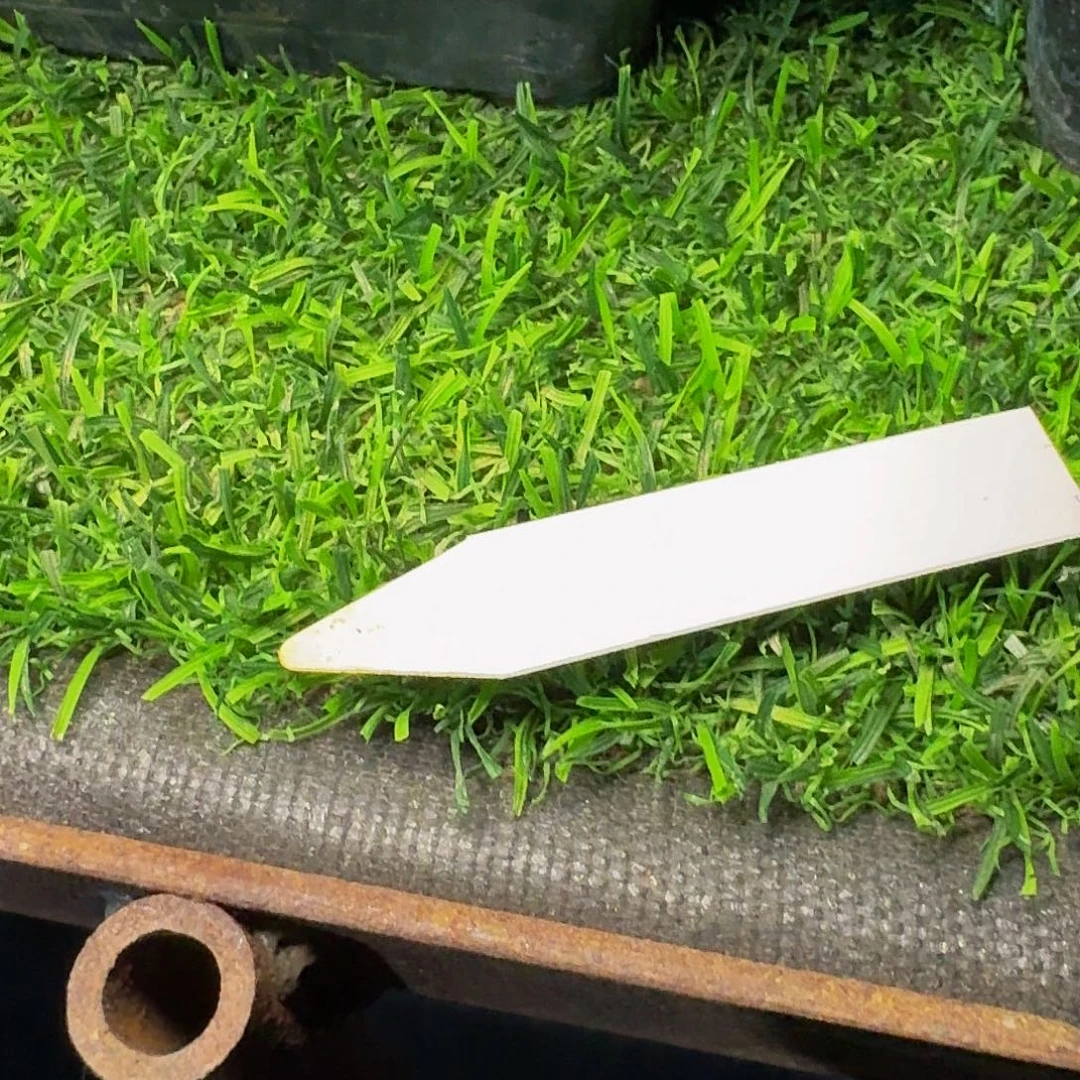 加***水直播间，加冰，专拍，