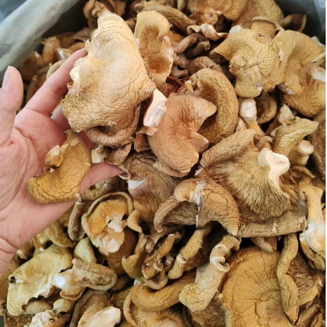 东北黑龙江元蘑干货特产冻蘑味美鲜香适合煲汤炖煮的蘑菇