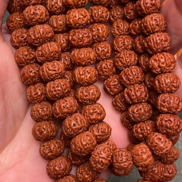 菩提是***叔纯血老树王108