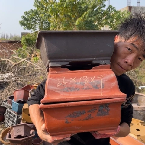 花盆紫砂特价包邮送盒子