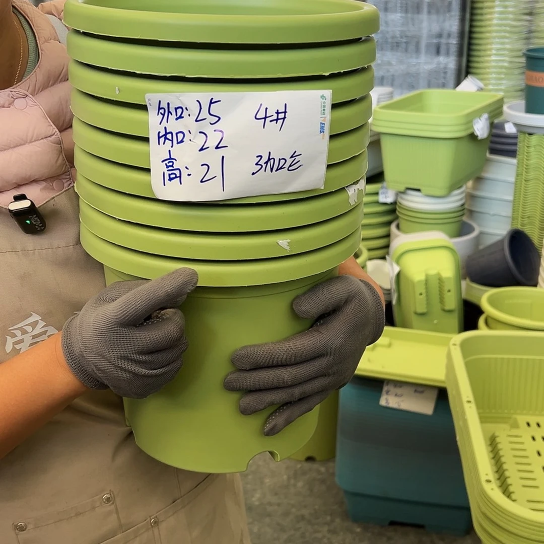 四季盆4#果绿色8个无托