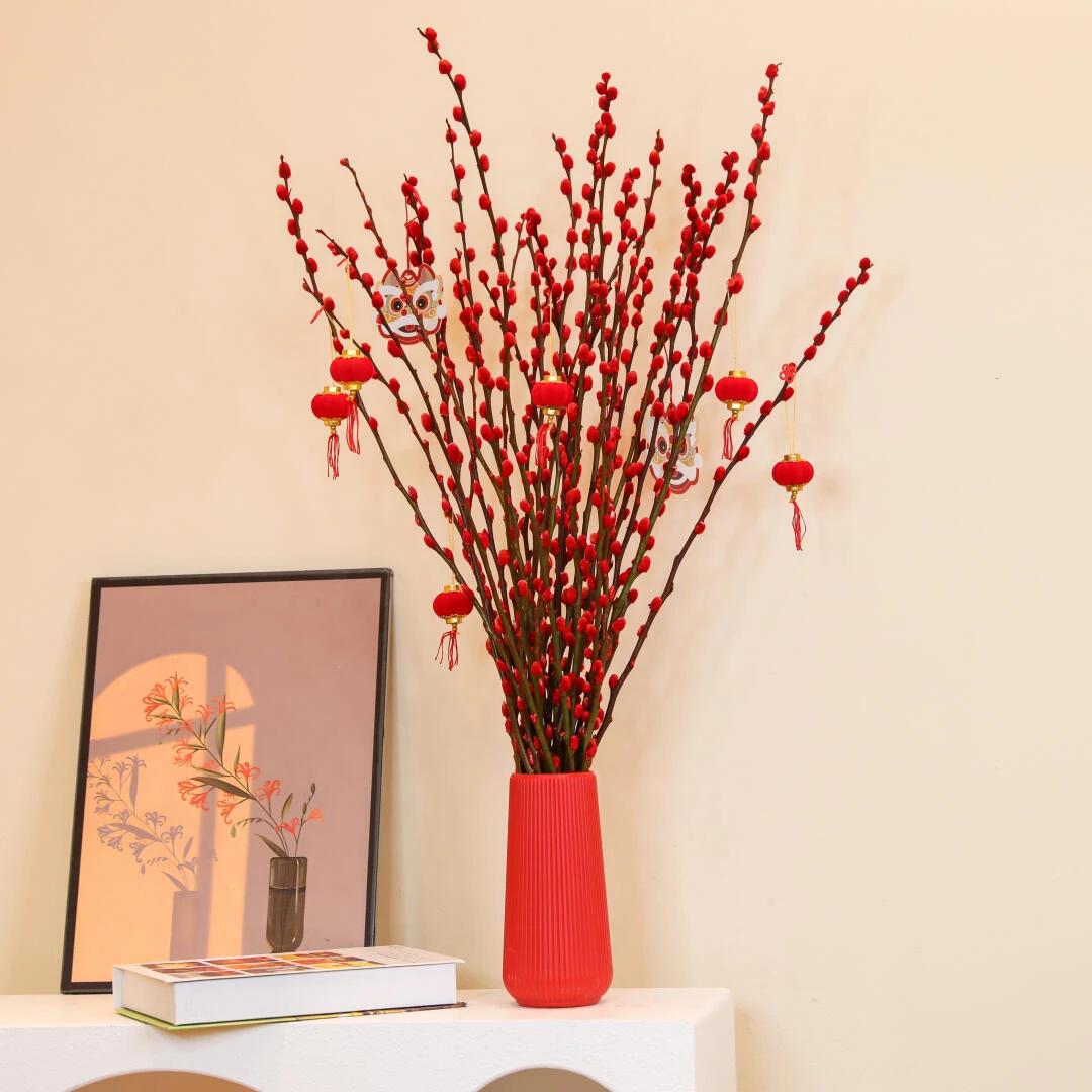 银柳一份10支全场任意两单包邮到家