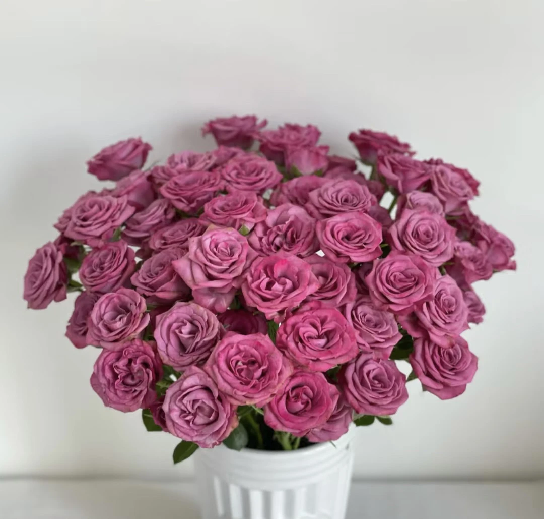 【10枝虚幻多头玫】全场任意两单顺丰冷链包邮， 0度以下必拍保温棉！