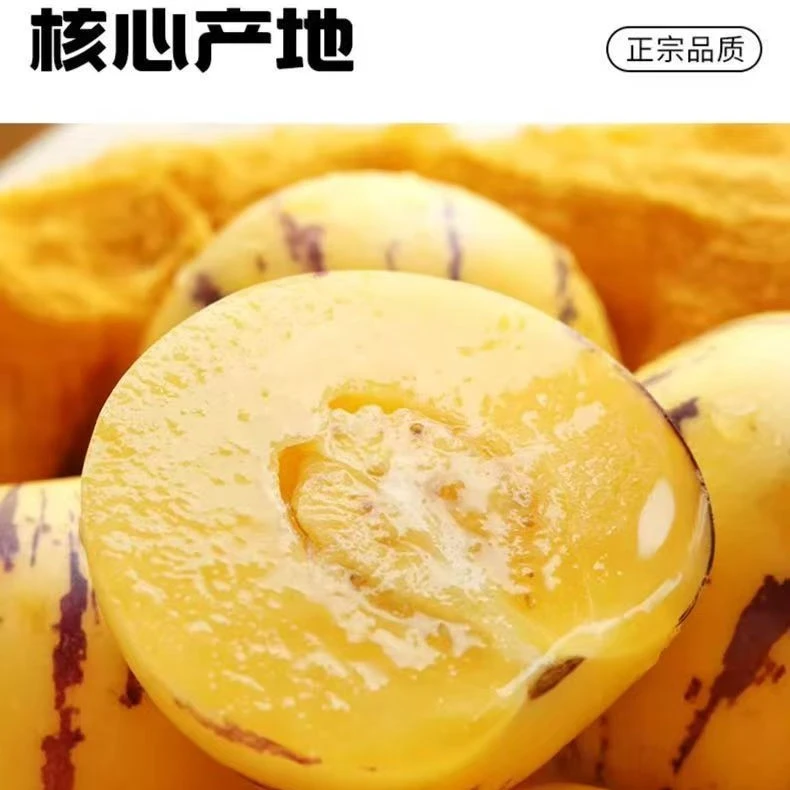 01云南石林树上熟人参果黄肉圆果新鲜清甜多汁应季水果