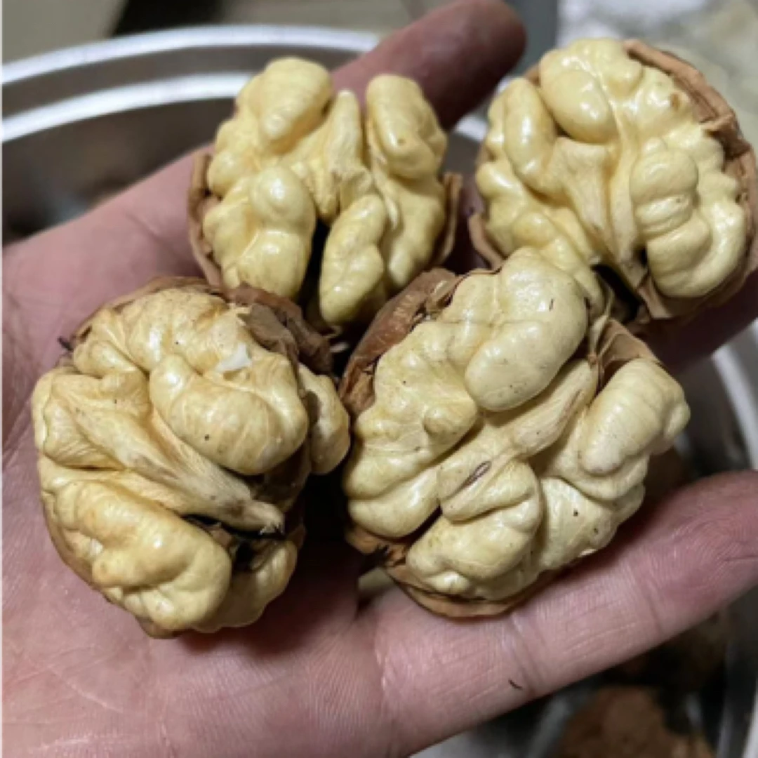 （顺丰包邮）云南水果核桃湿核桃 香甜爽口 孕妇水果去青皮发货