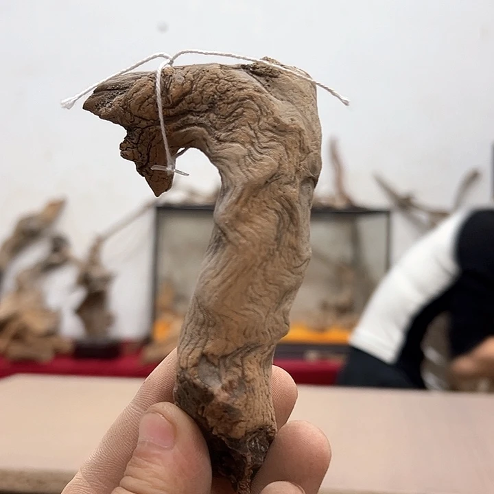 柏木用****5我们的生活也