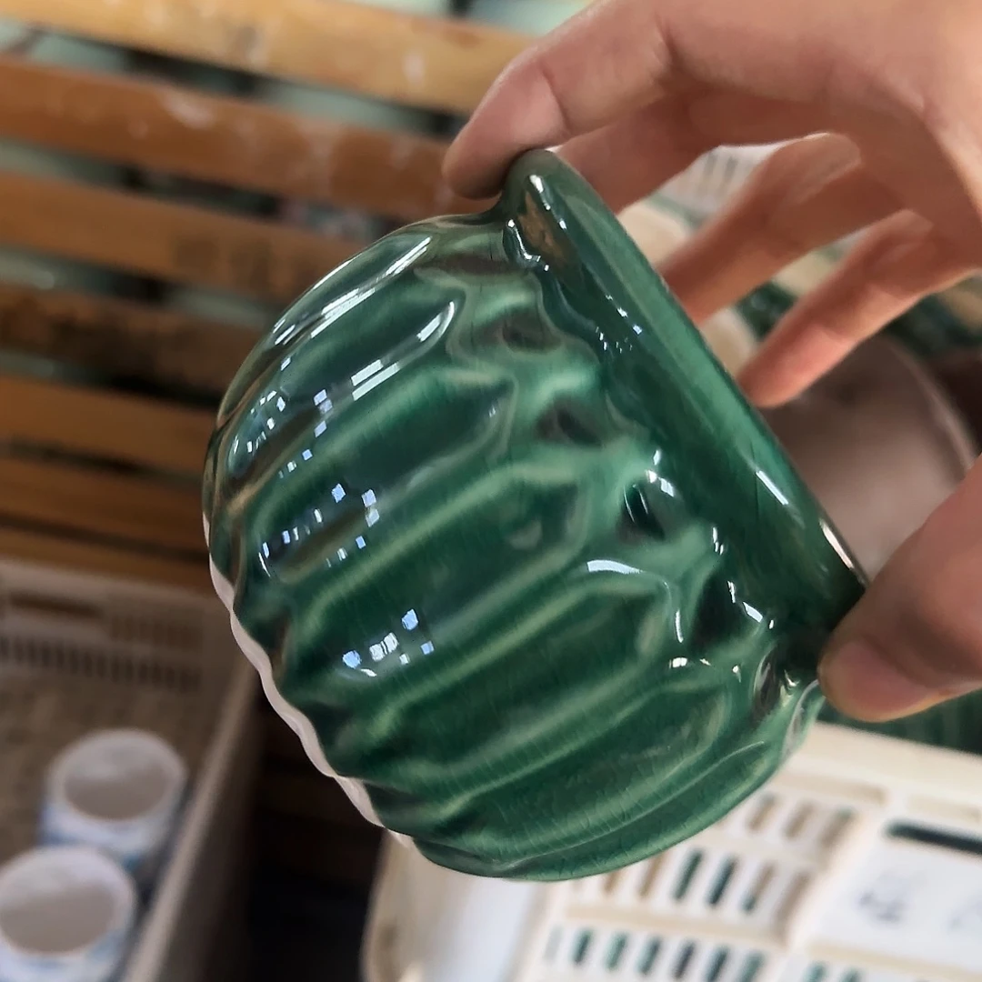 福利局绿植多肉盆［凑9元包邮24小时发］