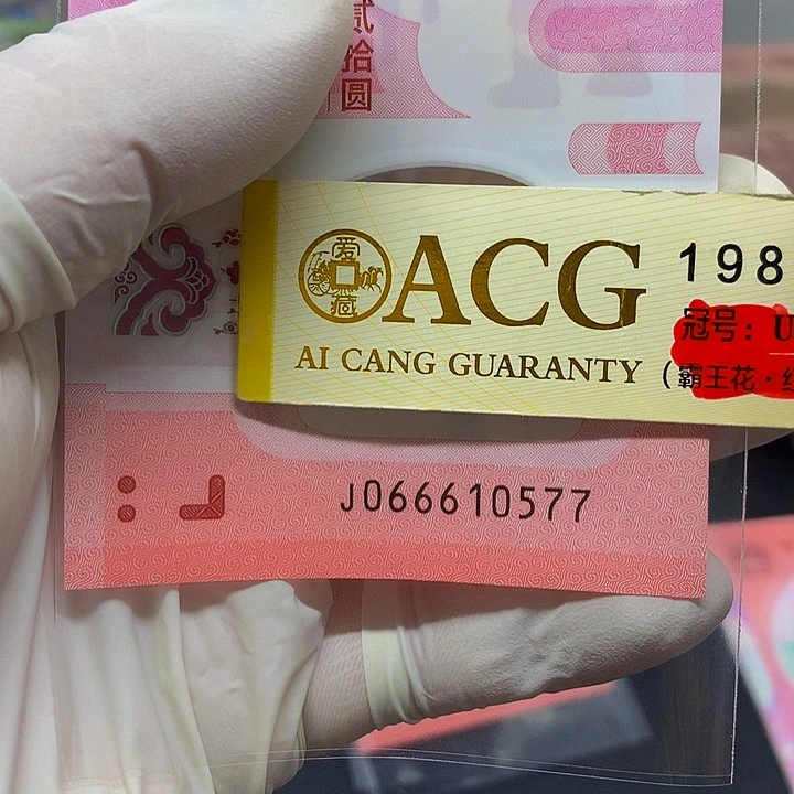 一张一张一张一张一张一张