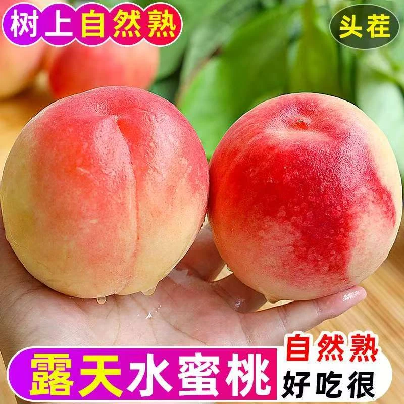 头茬陕西脆甜水蜜桃现摘水果脆软两吃多汁新鲜脆水果当季热卖