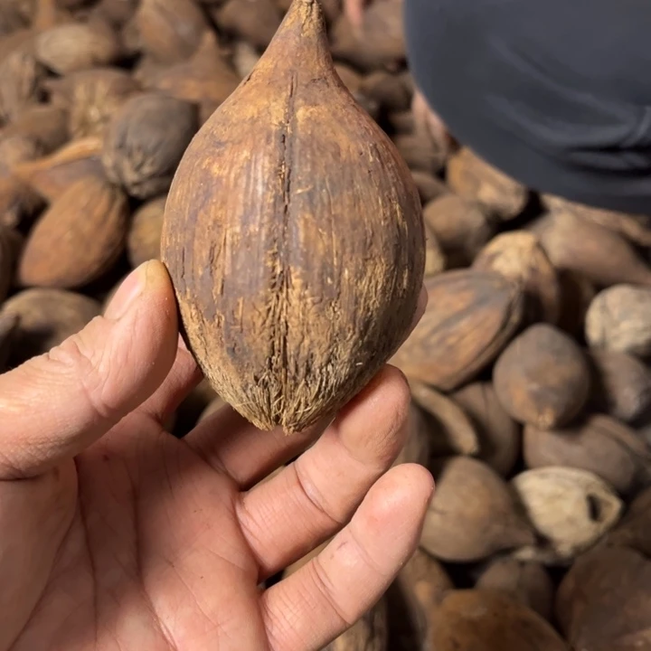 吊坠千眼菩提千菩提七十八号。