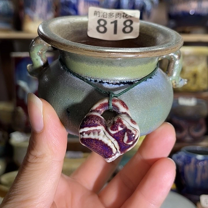 狼盆内口径5高度6