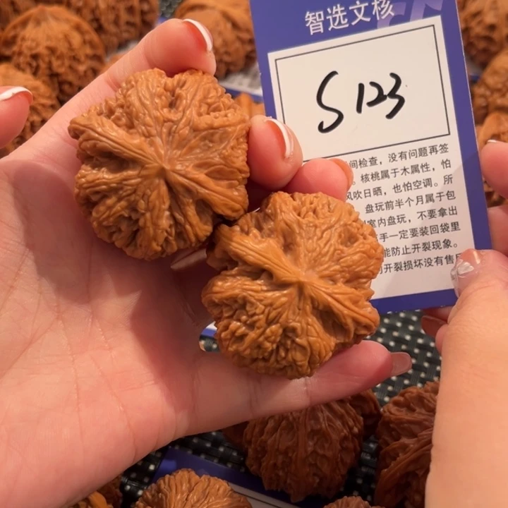 核桃S123号粗筋44尺