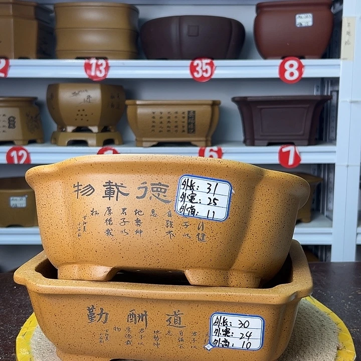 花盆紫砂你在一起