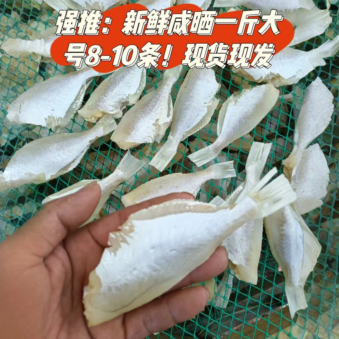 北海特产新鲜咸晒剥皮大眼鸡鱼大目鱼干批发干鱼干货