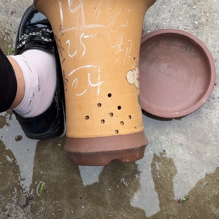 紫砂花瓶紫砂的味道