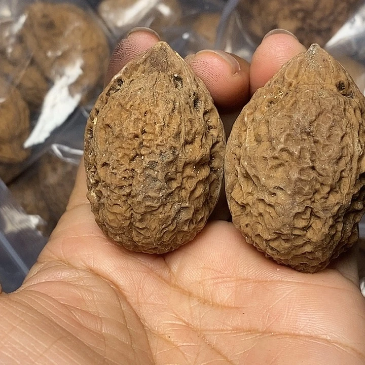 把件文玩核桃云南铁核桃81