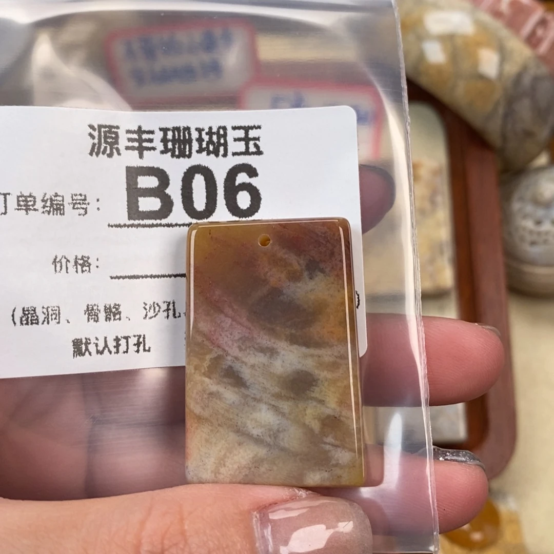 硅化玉颈饰未镶嵌k*y