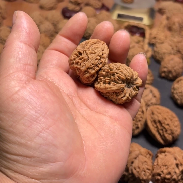 齐***楠大叶紫檀（黑酸枝木类）