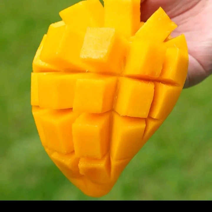 广西田东金煌青芒芒果6月新鲜应季香甜直发水果无丝贵妃百色好吃