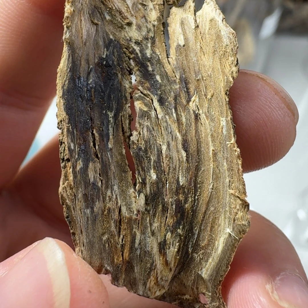 头***了沉香碎屑沉香高州虎斑棋