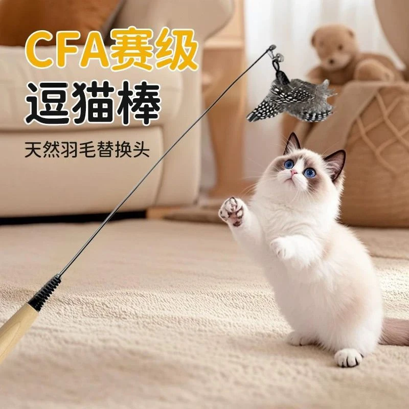 CFA赛级逗猫棒长杆猫玩具小飞虫羽毛替换头耐咬幼猫用品猫咪自嗨R