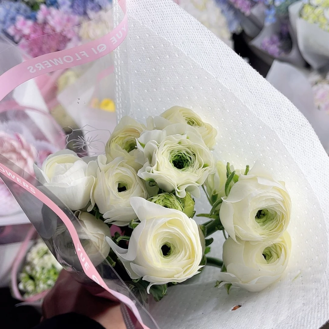 全部花苞洋牡丹（青柠）一扎